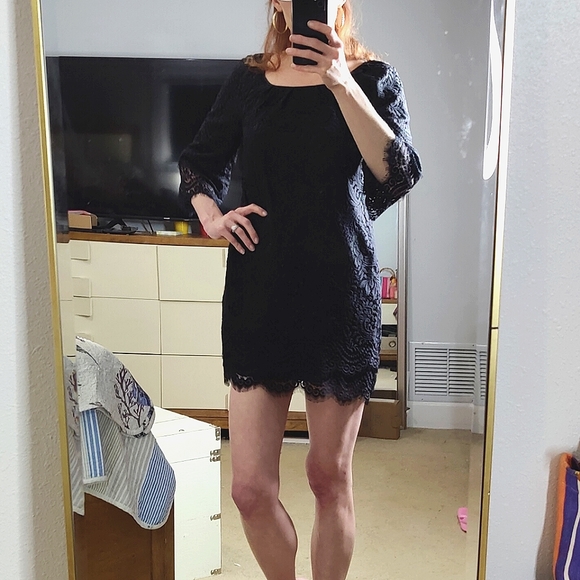 Anthropologie Leifsdottir Lined Lace Shift Dress NWOT - Picture 2 of 6